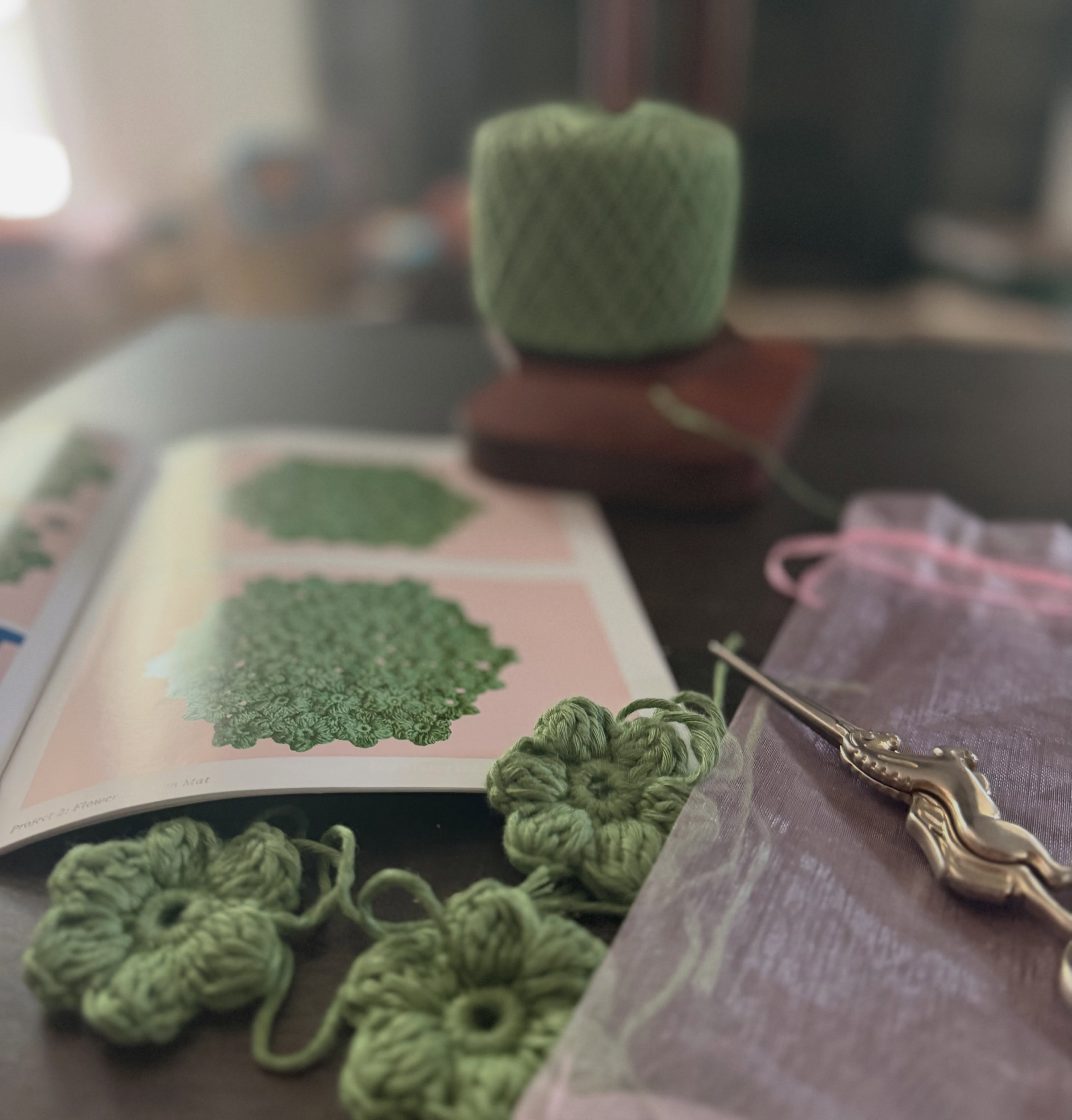 @hooksneedlescom Box 4! 🧶 I finished the cover for my dream notebook and now I’m working on the blossom mat, which I think will be cute under a potted plant! 🪴 

Use code LAURENANDBEE25 for 25% off your 1st box!

#paidpartnership #crochetersofig #hooksandneedles #subscriptionbox #selfcare